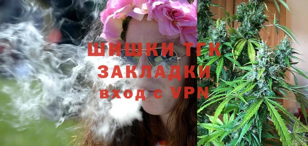 гидра Олёкминск