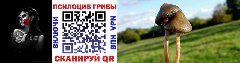 Псилоцибиновые грибы мицелий  Починок 